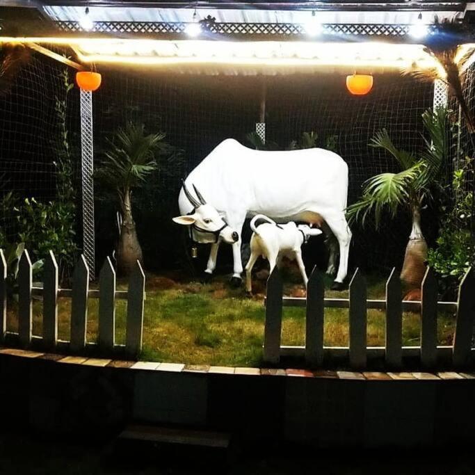 Saifarms Private Farmhouse Between Pune & Lonavala Nethersole Dam Kültér fotó